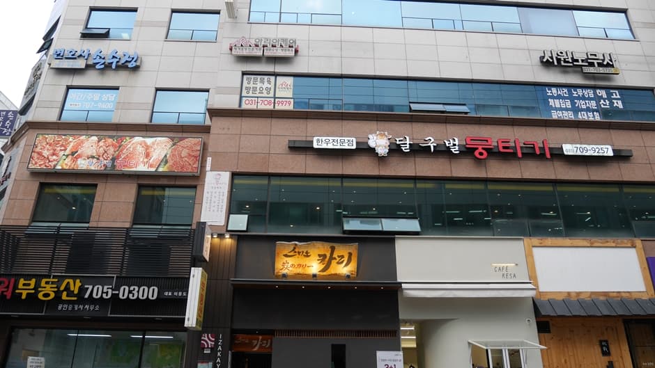 달구벌뭉티기