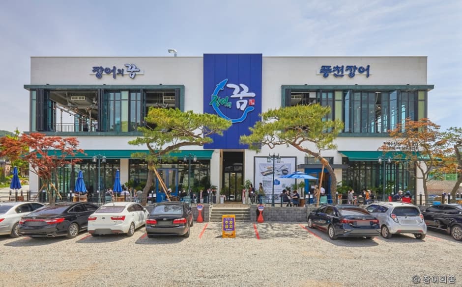 장어의꿈