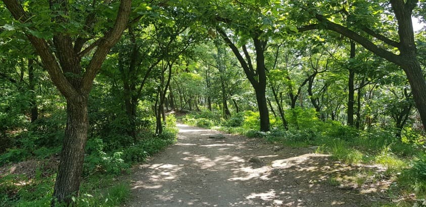 호암산성