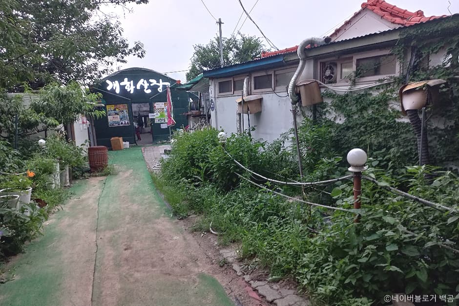 개화산장