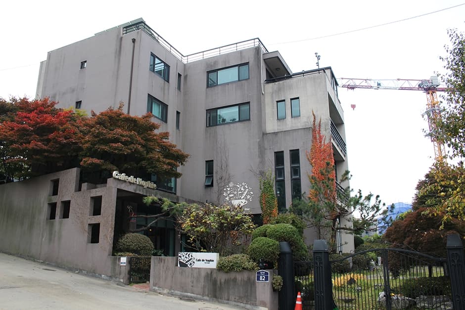 카페드노피