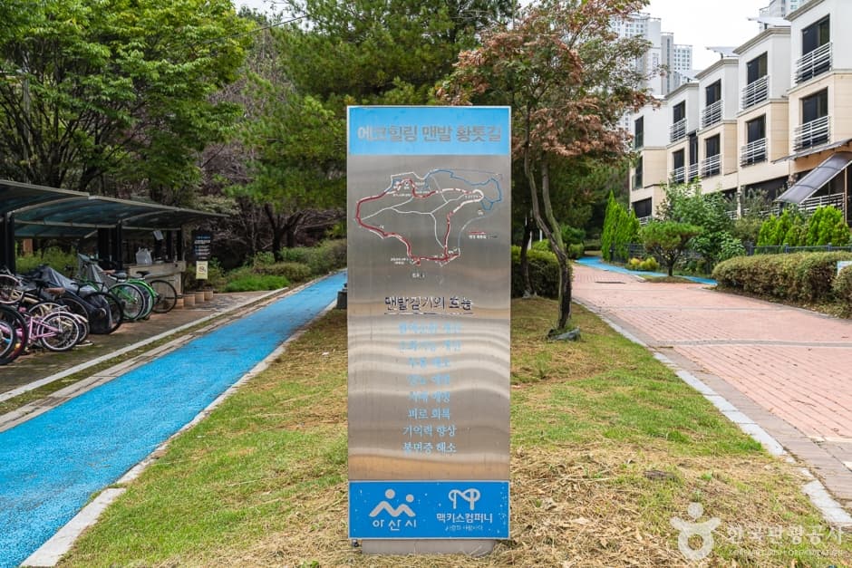 에코힐링 황톳길