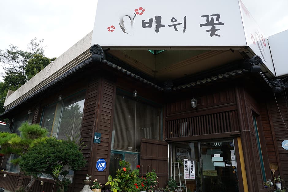 바위꽃
