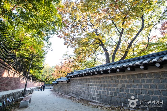 덕수궁 돌담길