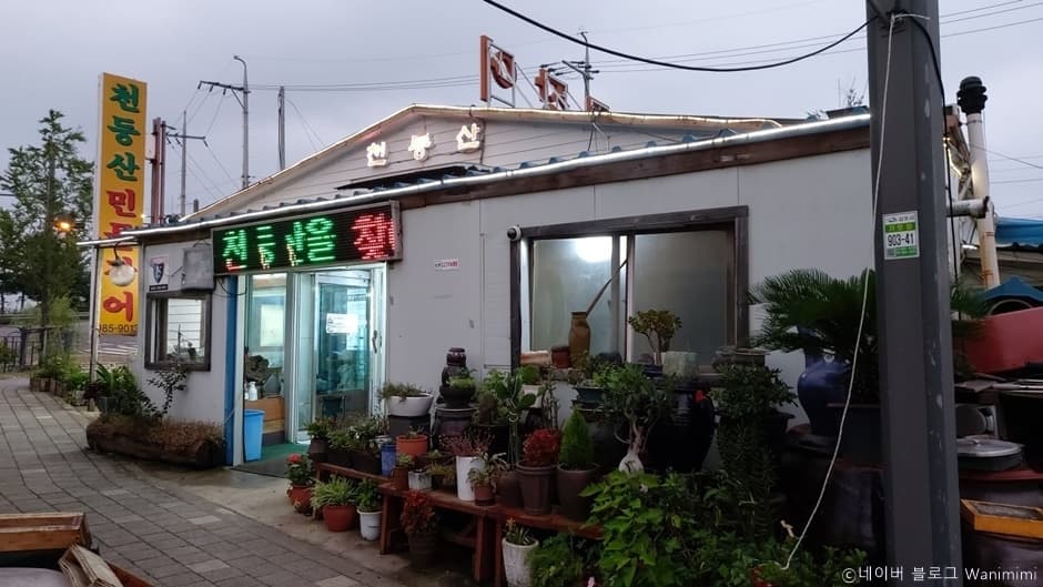 천둥산민물장어